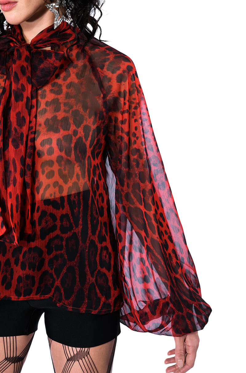 CAITLYNN TIE NECK SHEER BLOUSE